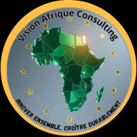 Vision Afrique Consulting logo - Similar company to Saxess Assurances