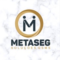 METASEG SOLUÇÕES EM QSMS logo - Similar company to Vlmed