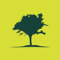 Agência Limoeiro logo - Similar company to Cia5 Comunicação & Eventos