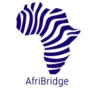 AfriBridge logo - Similar company to Synergei