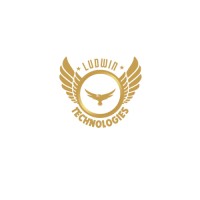 Ludwin Technologies logo - Similar company to Kashify