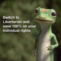 Libertarian Party of Dallas County logo - Similar company to Libertarian Party Of Georgia