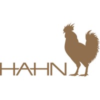 Hahn Media Group Ag
