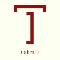 Tekmir Solutions LLC logo - Similar company to Seem(Useums)