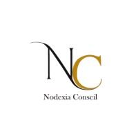 NODEXIA CONSEIL logo - Similar company to 2Hser