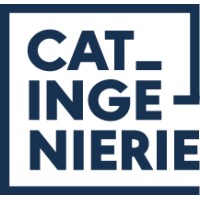 CAT INGENIERIE logo - Similar company to Projection Déco