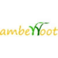 Amberroot Systems Private Limited logo - Similar company to Bitsocket