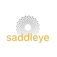 Saddleye logo - Similar company to Ablative Security Inc.