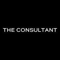 THE CONSULTANT logo - Similar company to East Point Rentals Sa