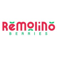 REMOLINO BERRIES SLU logo - Similar company to Tecoase Asesores