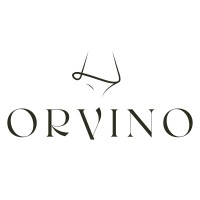 Orvino logo - Similar company to Gemino System Limited