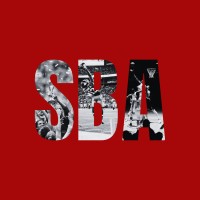 Sports Business Association logo - Similar company to Build Navigator