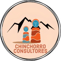 Chinchorro Consultores logo - Similar company to Sunet