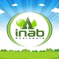 INAB Guatemala logo - Similar company to Inab