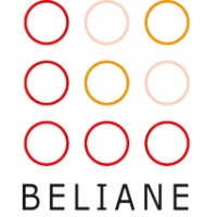 Beliane logo - Similar company to Cosmoblue