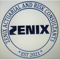 Zenix Actuarial and Risk Consultants Zambia Limited logo - Similar company to Samara Solutions Actuarial