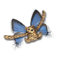 PANTER CREATION logo - Similar company to Château Formont