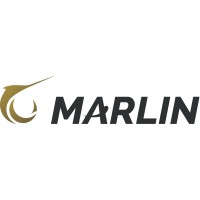 Marlin Cloud logo - Similar company to Trust1Team