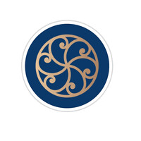 Dreamer.consultant logo - Similar company to Redesbcn