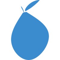 Blue Mango Consultants logo - Similar company to Code Kids Pk