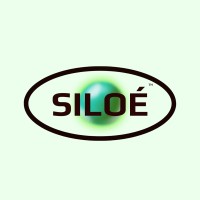 Siloe logo - Similar company to Dezell Digital