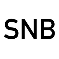 Systemisches Netzwerk Berlin (Snb)
