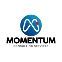 Momentum Consulting Services logo - Similar company to Rooted Hire Inc