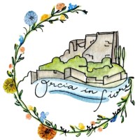 Orcia in fiore di Monica Persichini logo - Similar company to Pharmacare S.R.L.