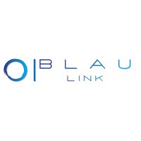 Blau Link logo - Similar company to Ace Sports