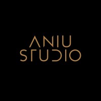 ANIU STUDIO logo - Similar company to Bidma