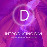 Divi Theme Experts logo - Similar company to Triade Solutions
