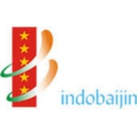 Indo Baijin Chemicals Private Limited logo - Similar company to Cs2 Engineering Services