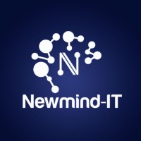 Newmind-IT logo - Similar company to Lucas-It