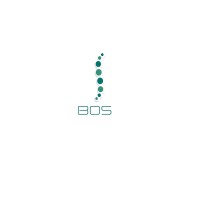 BOS - Back Office Solutions LLC logo - Similar company to Back Office Support Solutions