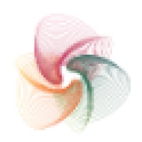 Cognition Consulting