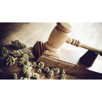 Cannabis Industry Law Group logo - Similar company to Fire Flower Farm