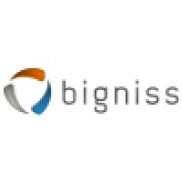 BIGNISS LTDA. logo - Similar company to Interside Holding