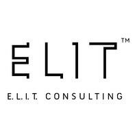 E.L.I.T. Consulting logo - Similar company to Elit Consulting