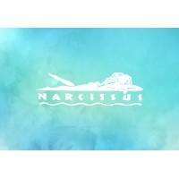 Narcissus Boutique logo - Similar company to Berkeley Design Collective