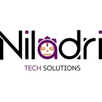 Niladri Tech Solutions logo - Similar company to Bear Ecosystem