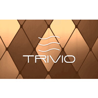 Trivio.tech logo - Similar company to Cloud Techno Solutions