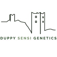 Duppy Sensi Genetics logo - Similar company to Mecannabis S.S. Az. Agr.