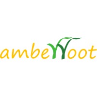 Amberroot Systems Private Limited logo - Similar company to Amberroot Systems Private Limited