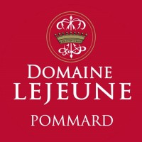 Domaine Lejeune - POMMARD - BOURGOGNE logo - Similar company to Borgo Stajnbech