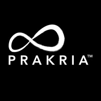 PRAKRIA logo - Similar company to Digital Zero Pvt Ltd