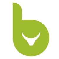 bull markets media GmbH logo - Similar company to Sunrise Value Research Gmbh
