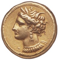 El Shekel logo - Similar company to Raw Pixels