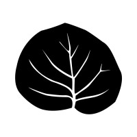 Coccoloba swimwear logo - Similar company to Cromatika