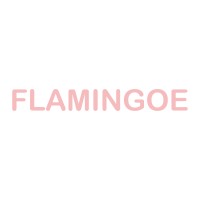 FLAMINGOE logo - Similar company to Usareg Inc.