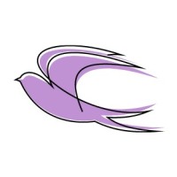 Saving Grace Digital Marketing Agency, LLC logo - Similar company to Webreakthin.Gs